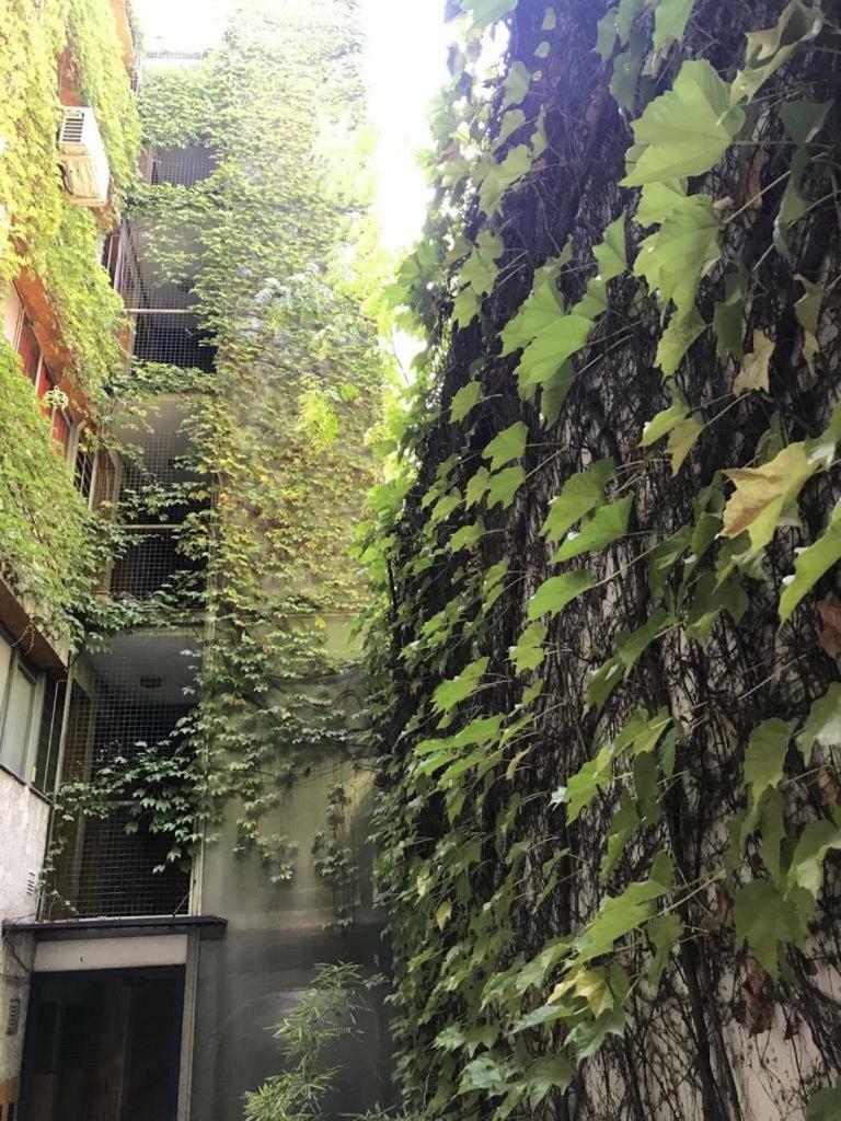 Departamento De 2 Dormitorios, Excelente Ubicacion Мендоса Экстерьер фото